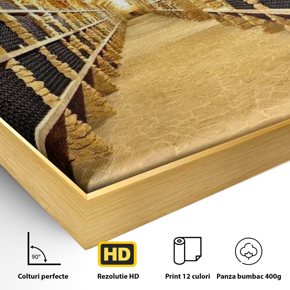 Detaliu al suprafetei: tablou canvas cu crama subterana si sticle de vin, in rama de aluminiu auriu